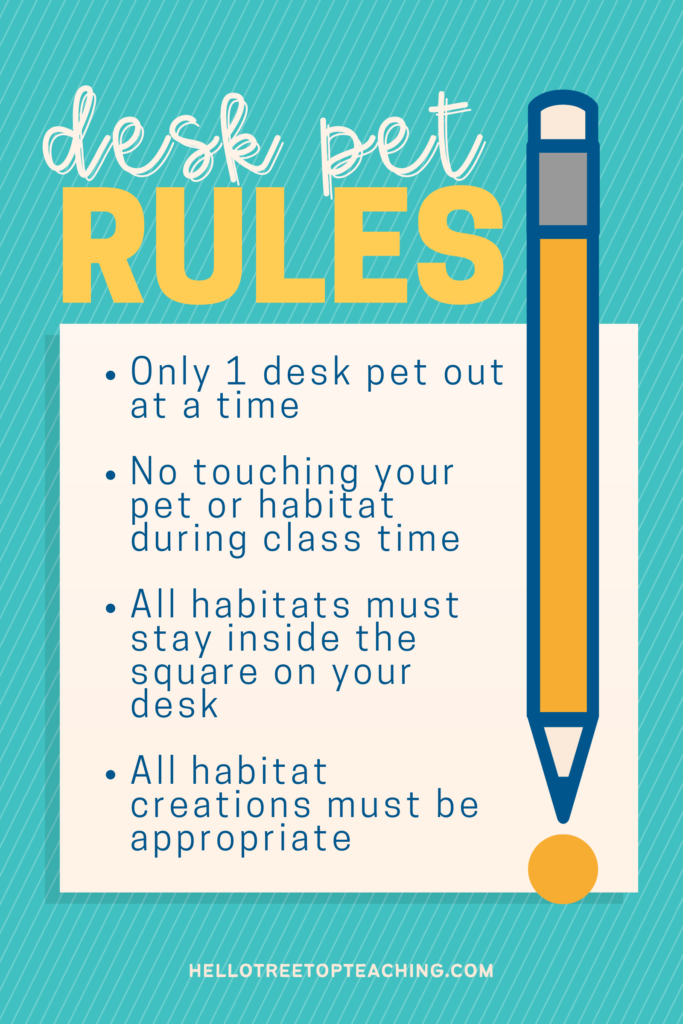 Classroom desk pet rules and guidelines